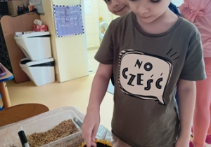 Mateusz wysiewa owies do miseczki w kształcie skorupki jajka