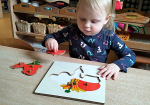 dziewczynka układa puzzle botaniczne