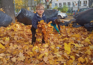 Chłopiec trzyma dużo liści w rękach