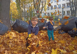Dwóch chłopców wyrzuca liście do góry
