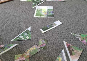 Zdjęcie przedstawia rozsypane puzzle z ilustracjami wiosennych kwiatów