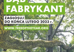 Plakat promujący akcję Europejskie Drzewo Roku