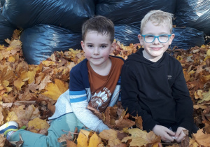 dwóch chłopców pozuje do zdjęcia w stercie liści