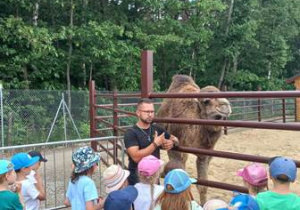 Grupa dzieci ogląda wielbłąda i słucha ciekawostek opowiadanych przez opiekuna zwierząt