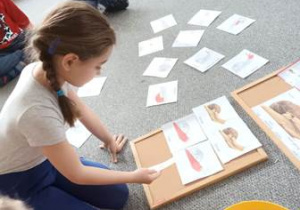 Dziewczynka dokłada elementy do pomocy edukacyjnej przedstawiającej budowę ślimaka