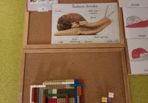 Ślimak zbudowany z klocków Lego