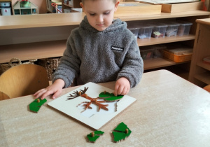 chłopiec układa puzzle botaniczne
