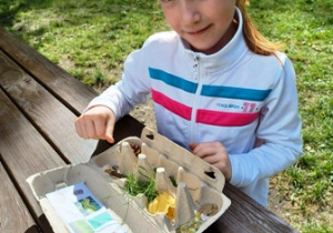 Dziewczynka układa materiał przyrodniczy w pudełku