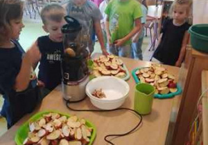 Zdjęcie przedstawia grupę dzieci obserwujących proces powstawania soku jabłkowego w sokowirówce