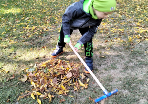 chłopiec grabi liście