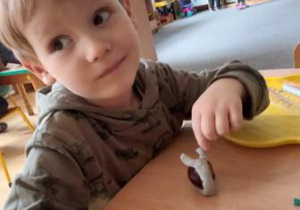 Chłopiec siedzi przy stoliku i dotyka palcem ślimaka z plasteliny