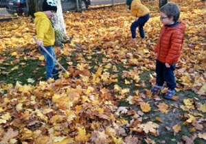 Chłopcy grabią liście