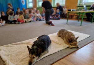 Zdjęcie przedstawia dwa psy - Nukę oraz Lunę, w tle widać dzieci słuchające prelekcji warsztatowej