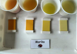 Zdjęcie przedstawiają kubeczki z wodą w różnych odcieniach koloru żółtego