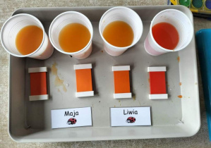 Zdjęcie przedstawiają kubeczki z wodą w różnych odcieniach koloru pomarańczowego