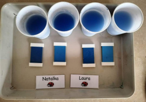Zdjęcie przedstawiają kubeczki z wodą w różnych odcieniach koloru niebieskiego