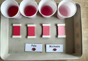 Zdjęcie przedstawiają kubeczki z wodą w różnych odcieniach koloru różowego