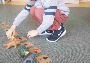 Chłopiec ustawia figurki dinozaura w odpowiednim kierunku