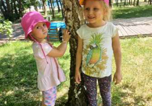 Olga i Helenka sprawdzają korę drzewa