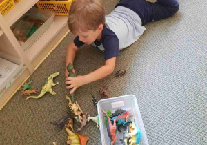Chłopiec bawi się dinozaurami