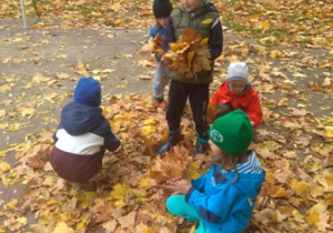 Dzieci zbierają liście w ogrodzie, które wykorzystają do makiety lasu.