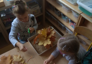 Dziewczynki przygotowują makietę lasu z materiałów zebranych w ogrodzie.