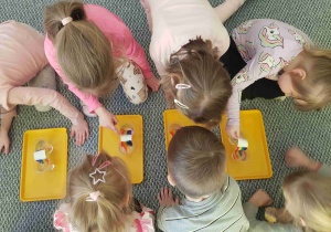 Dzieci w parach obserwują kolory tęczy