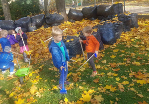 Dzieci grabią liście wśród ustawionych worków