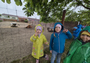 Dziewczynki stoją przed zagrodą ze zwierzętami i pozują do zdjęcia