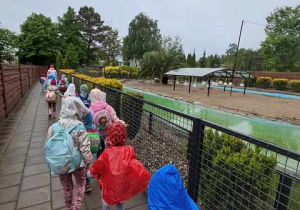W czasie wycieczki dzieci spacerują po ogrodzie zoologicznym i obserwują zwierzęta