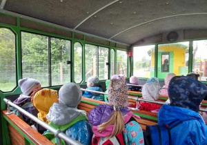 Zwiedzanie Zoo Borysew z pokładu kolejki