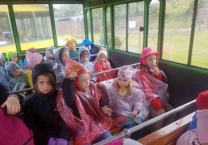 Przejazd kolejką po ogrodzie zoologicznym