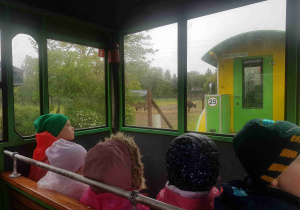 Przejazd kolejką po ogrodzie zoologicznym