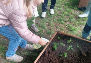 Hania spryskuje zasadzone rośliny