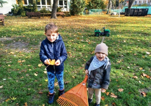 Franek i Jasio grabią liście w ogrodzie