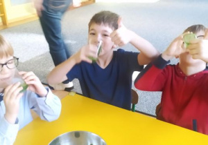 Chłopcy pija przygotowany przez siebie koktajl