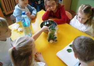 Dzieci próbują, jak smakują liści szpinaku