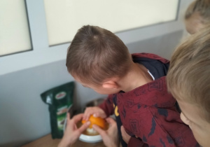 Bruno wyciska sok z pomarańczy