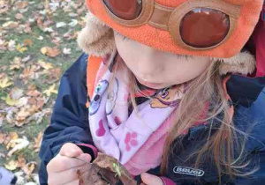 Dziewczynka obserwuje znalezionego w ogrodzie konika polnego