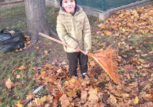Tytus grabi liście w ogrodzie przedszkolnym