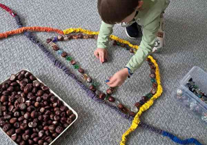 Bruno w czasie ćwiczenia ciszy układa kasztany w zaznaczoną SIgumą przestrzeń na dywanie