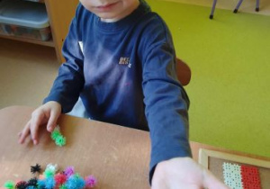 Franio prezentuje barwy narodowe wykonane z pomocy dydaktycznych "rzepów"