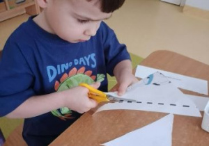 Chłopiec przecina ilustrację po wyznaczonych liniach