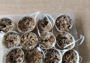 "Pączki dla ptaków" wykonane przez dzieci