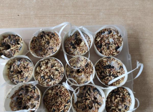 Tłusty czwartek dla ptaków