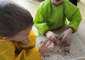 Chłopiec z dziewczynką łączą ziarna za pomocą smalca przygotowując "pączki dla ptaków"