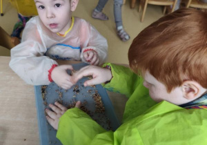 Chłopcy łączą ziarna za pomocą smalca przygotowując "pączki dla ptaków"