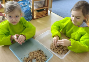 Dziewczynki łączą ziarna za pomocą smalca przygotowując "pączki dla ptaków"