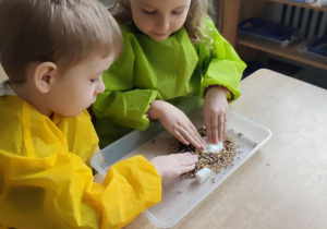 Dzieci łączą ziarna za pomocą smalca przygotowując "pączki dla ptaków"