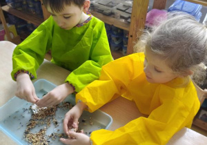 Dzieci łączą ziarna za pomocą smalca przygotowując "pączki dla ptaków"